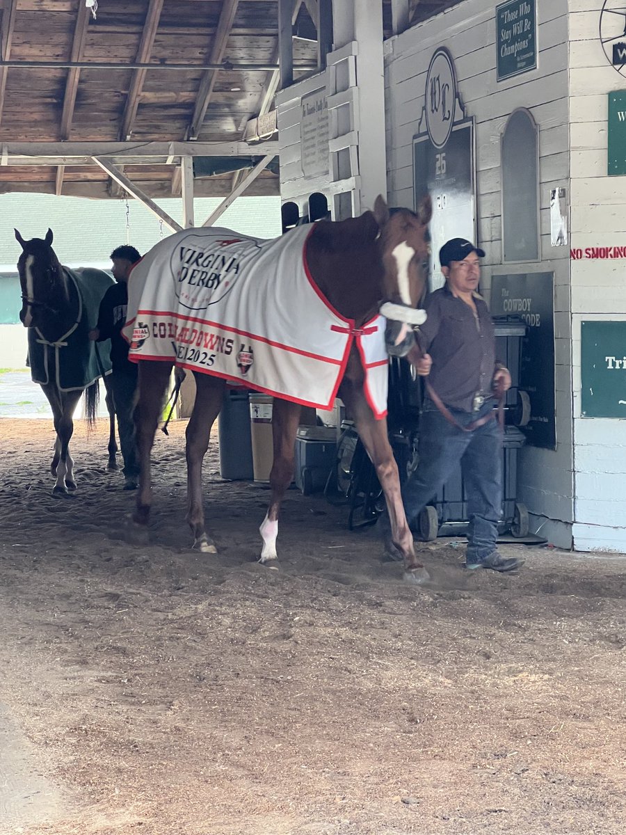 ColonialDowns's tweet image. #VirginiaDerby ⁦@ColonialDowns⁩ hero American Promise displaying his winner’s blanket as he gets his morning walk around the shed row ⁦@ChurchillDowns⁩. #KentuckyDerby151
