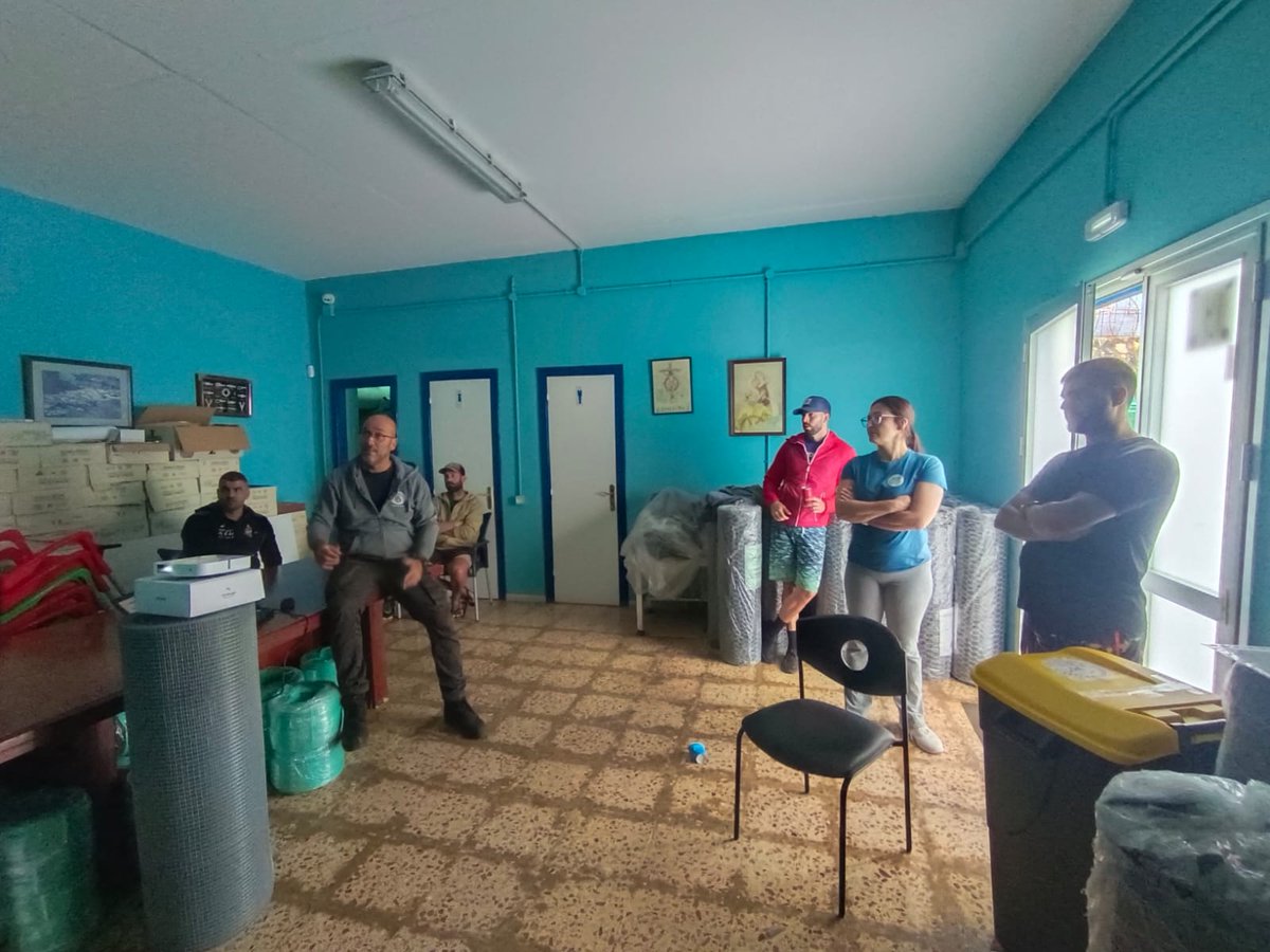 PolybrisPleamar tweet media