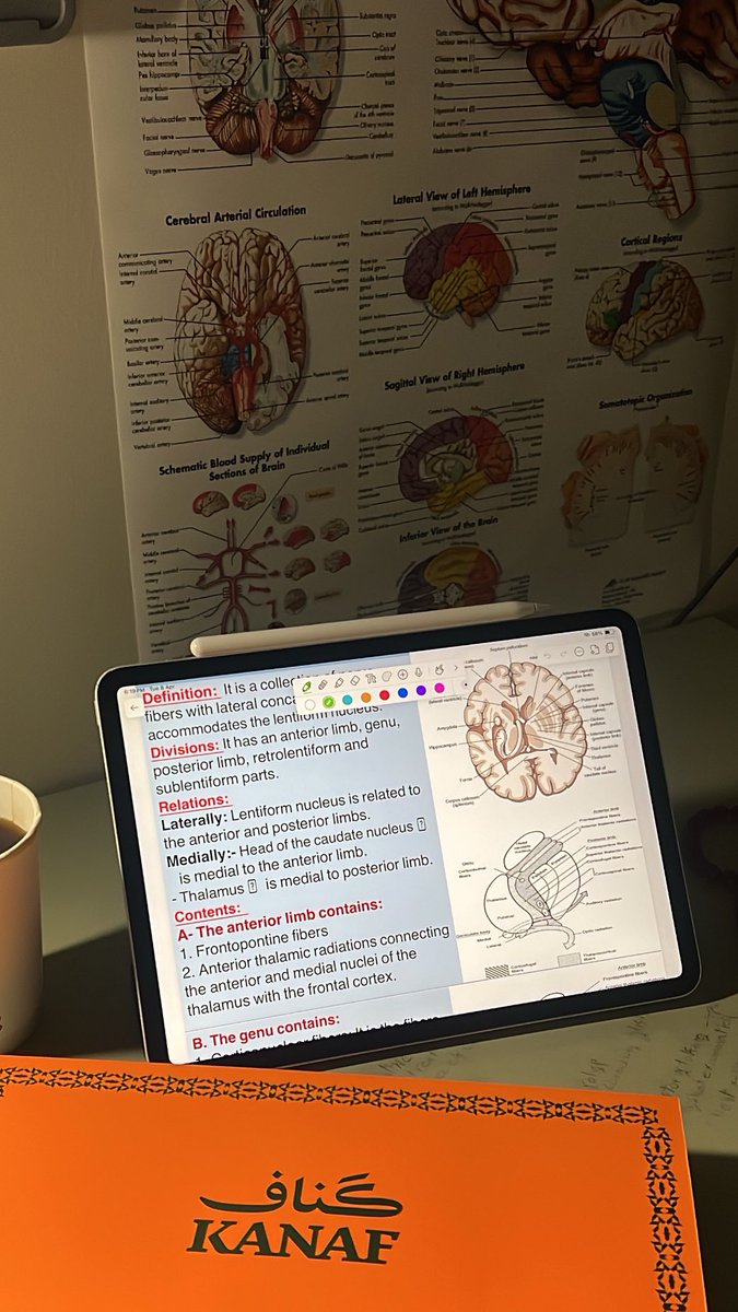 عبدالرحمن🚨 tweet media