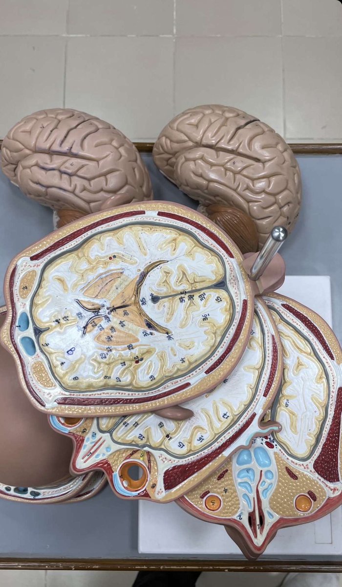 عبدالرحمن🚨 tweet media