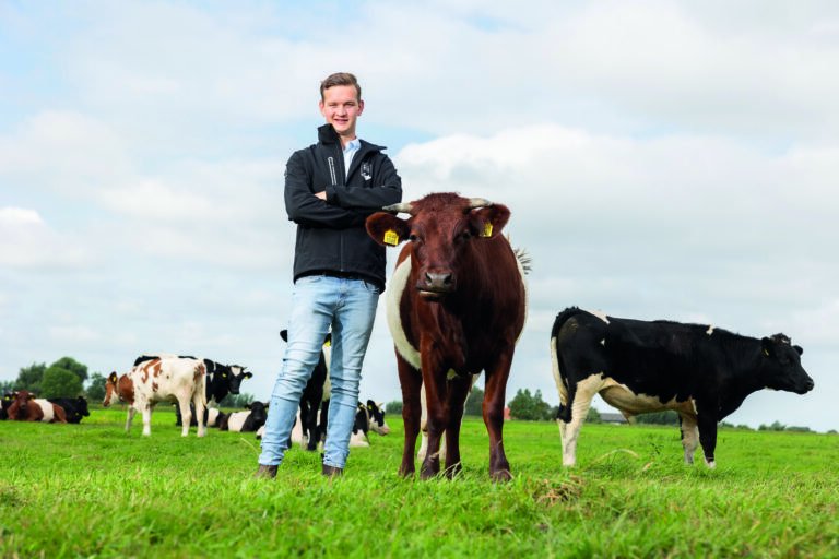 DelflandMidden's tweet image. #Kringloopboer Sven Zonneveld over zijn #melkveehouderij, de #kringlooplandbouw en zijn #Holyhoeve #lakenvelders webshop @delflandmidden @DelflandsGroen middenindelfland.net/deelnemer/sven…