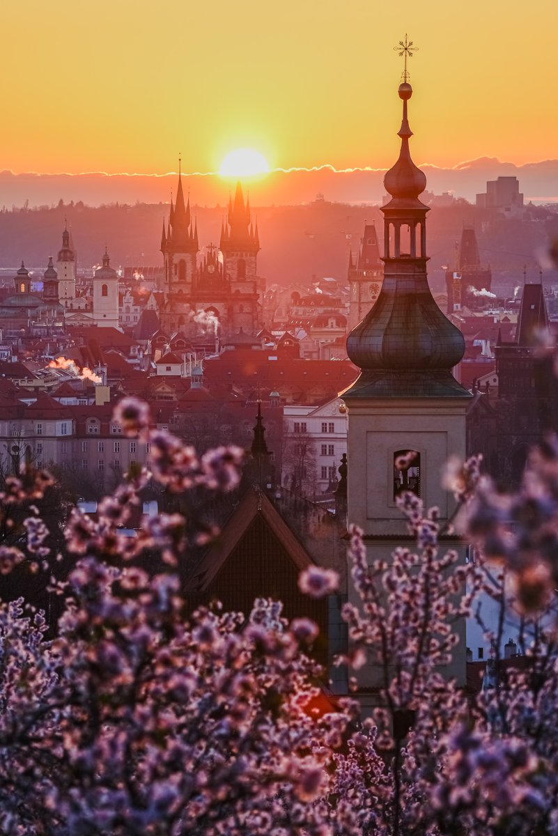 Best spring photos of Prague? 📷
Petřín Tower gets you unforgettable views, romantic walk 💞, pink cherry blossom &amp; lovely fragrance in the air 🌸, Lesser Town's red roofs, all-style spires🗼.
 
Hop off the vintage tram 🚋 at Pohořelec for a scenic walk
👉 bit.ly/petrin-tower
