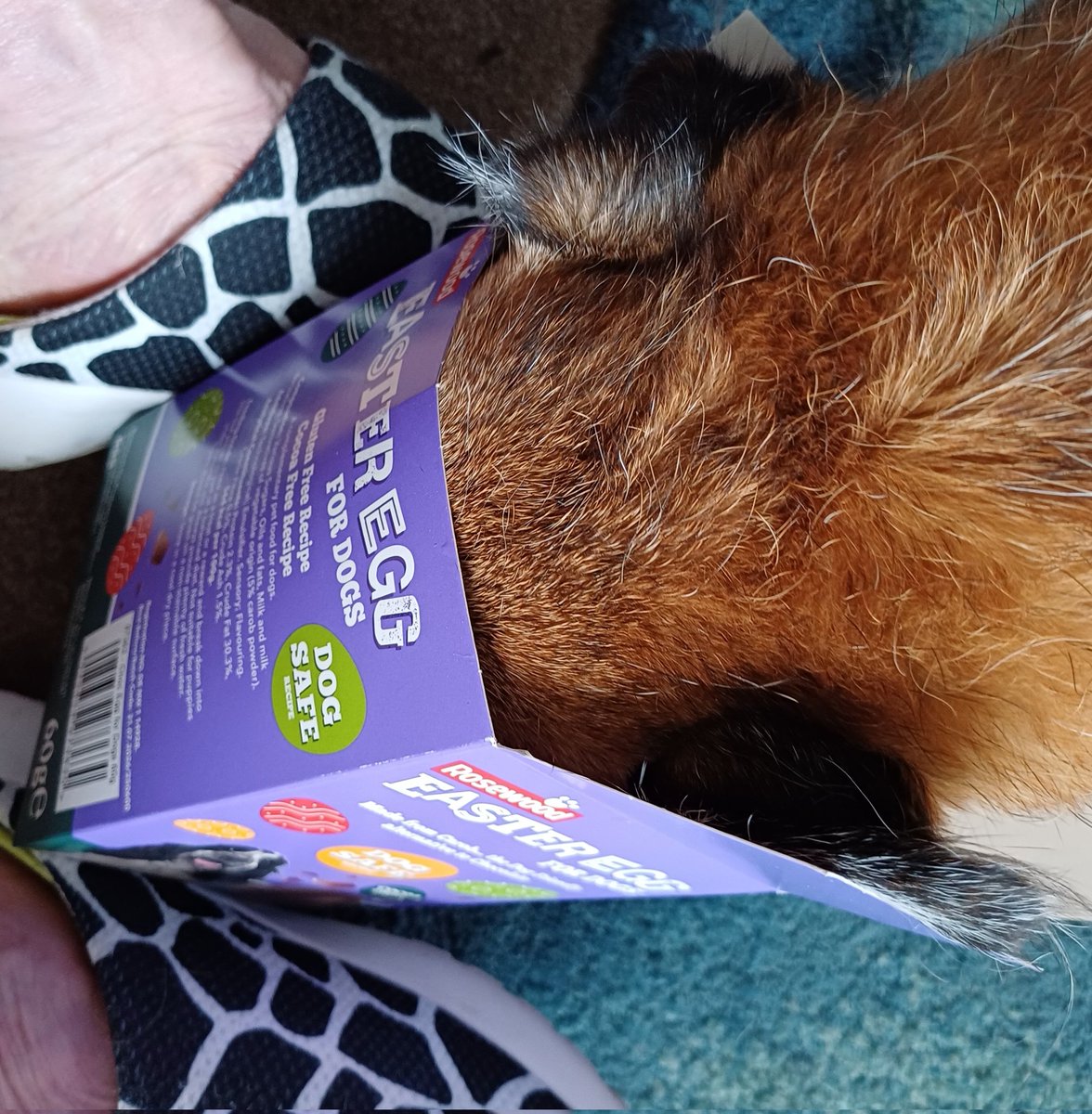 I have finished my Easter Egg yumminess