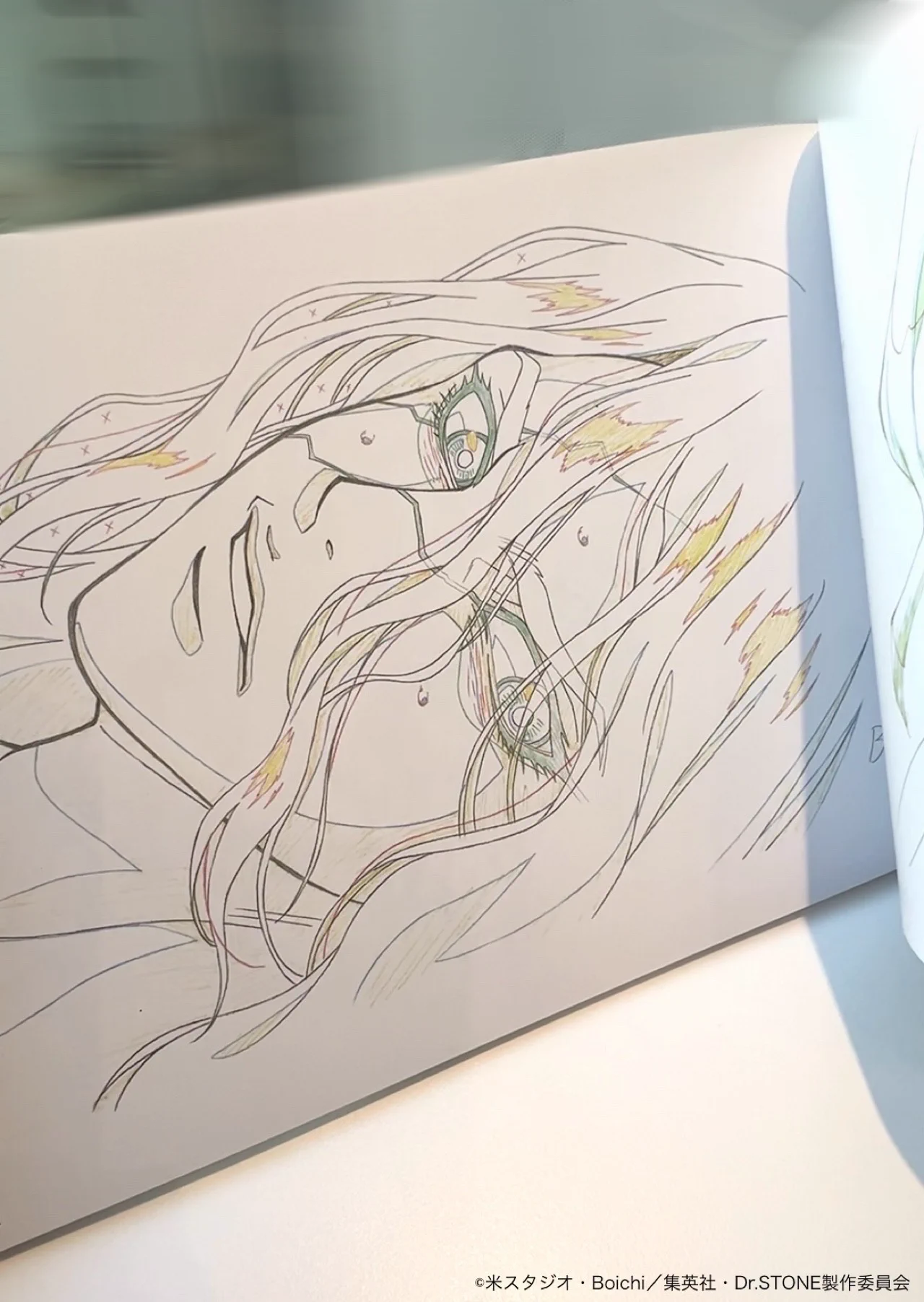 Dr.STONE 原画展図録 トムスショップ on X: 