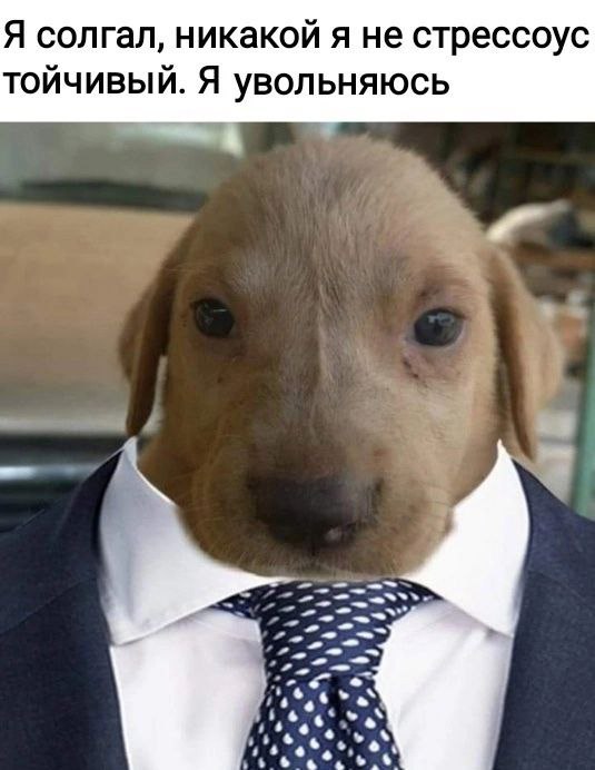 HR с красной помадой (@hr_in_red) on Twitter photo 