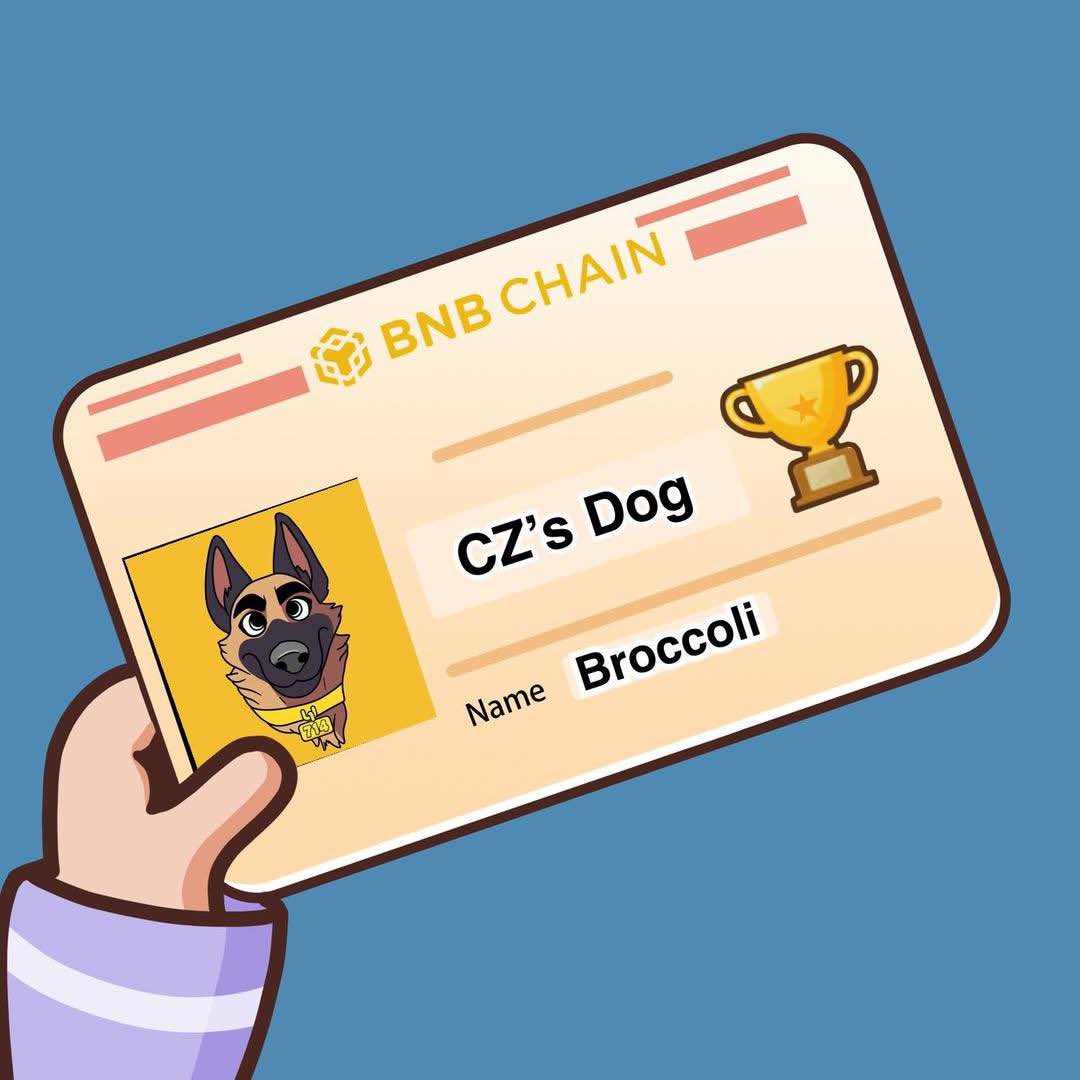 robwilli🫡🔸🐍 tweet media