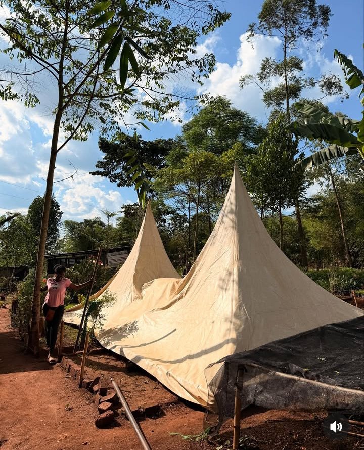 Immaculate Nakabanda tweet media