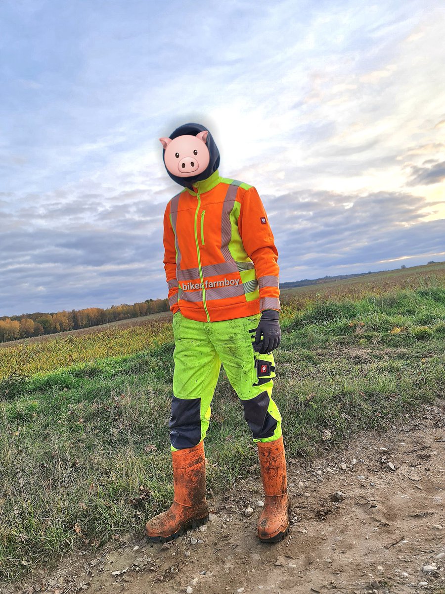 biker_farmboy's tweet photo. ๐ท๐ท๐ท
#gaypig #gayboy #gayworker #strauss #dunlopboots #bootsfetish #workwear #gummistefiel #hiviz #farmworker https://t.co/ZBR0LrLbYx