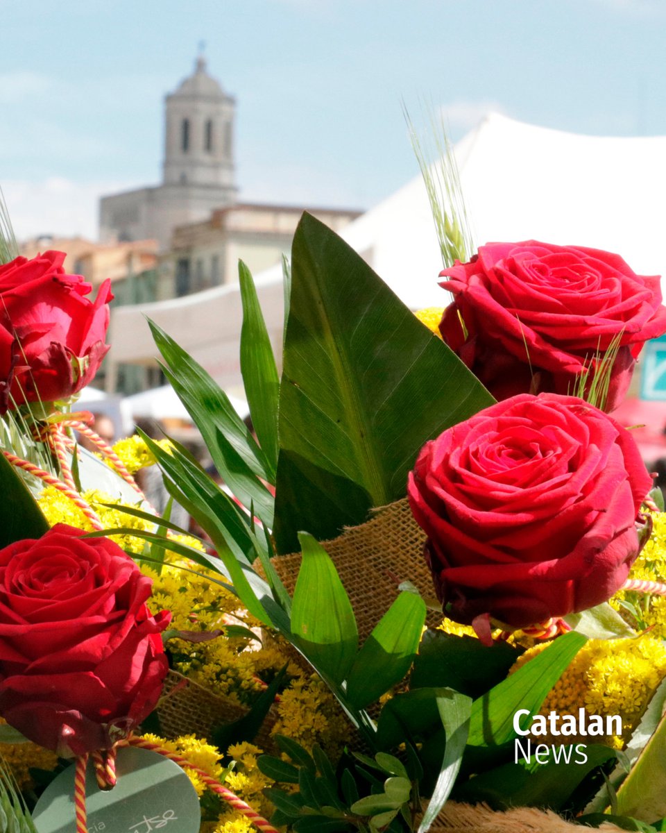 Catalan News tweet media