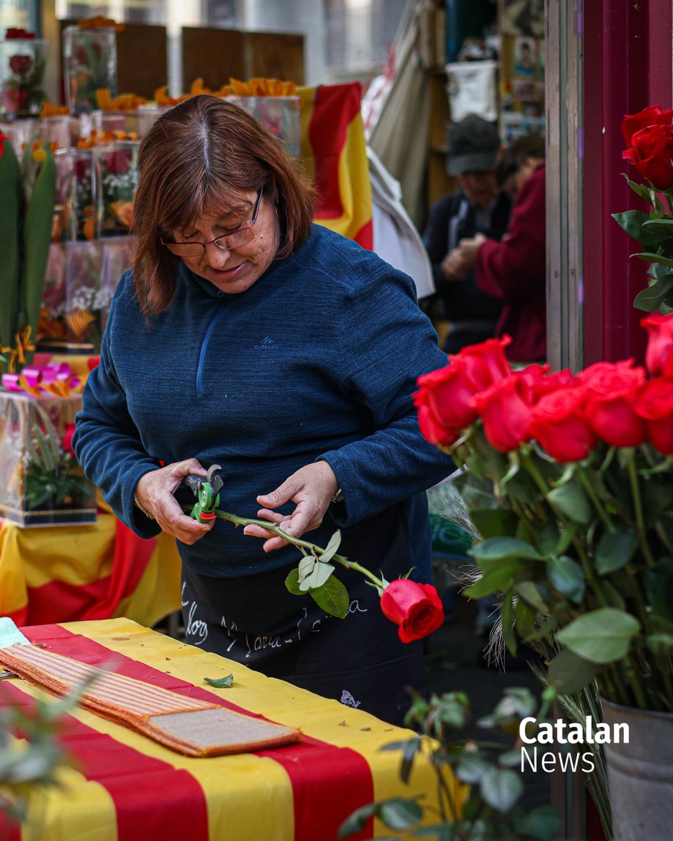 Catalan News tweet media