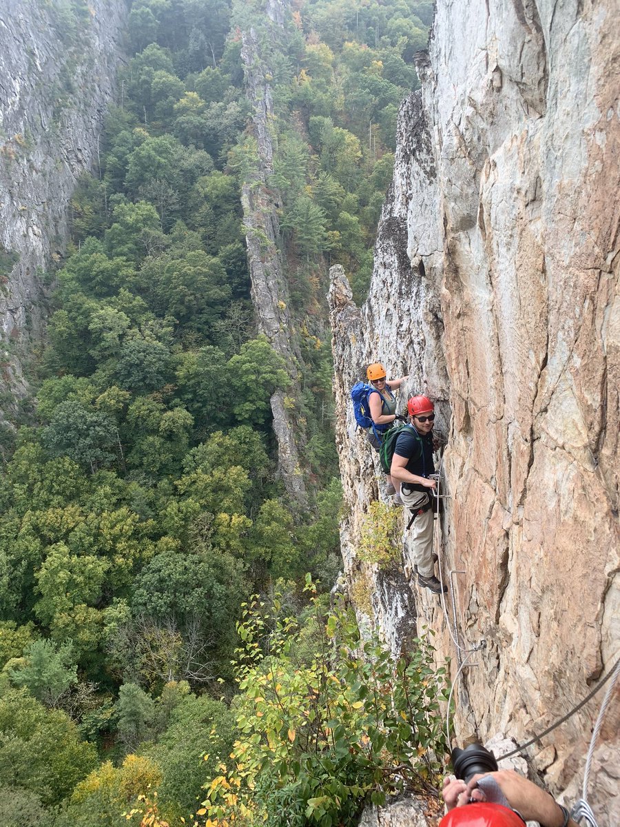 Tracy Buchholz tweet media