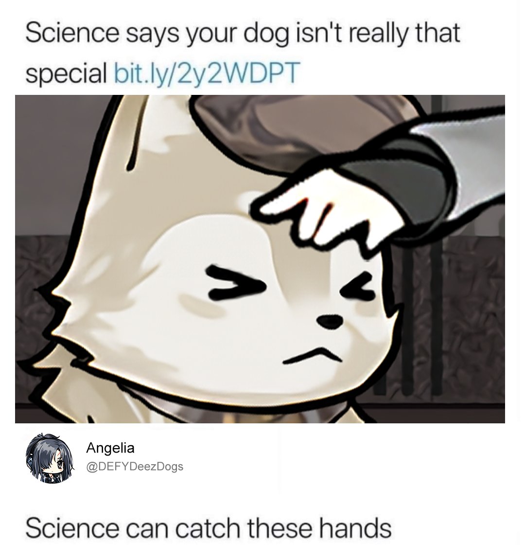 kopshi64's tweet photo. Day 23, Ange absolutely HATES science
#DEFYDogDays4 #JusticeForKalashnidogs #DEFYDogs
#GirlsFrontline #GFL #DollsFrontline #ドルフロ #ドールズフロントライン #소녀전선 #少女前線 https://t.co/qf0NNCtYeK