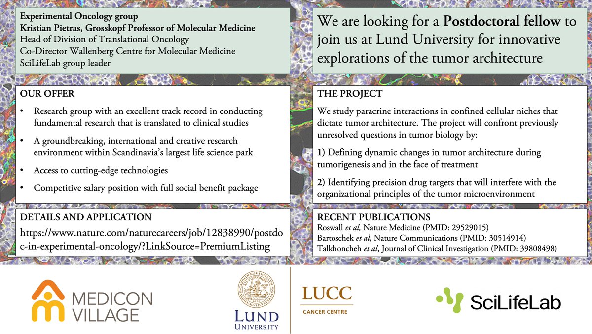 <a href="/adaptmet/">Adaptmet</a>