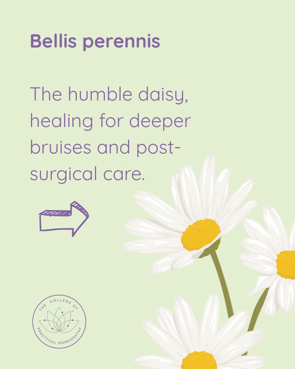 learnhomeopathy's tweet photo. This Earth Day, let nature do the healing. Homeopathy is a gentle, natural system of medicine that works with your body and with the Earth. Here are a few Earth-inspired remedies to celebrate today. https://t.co/sdCA0ZLAhF