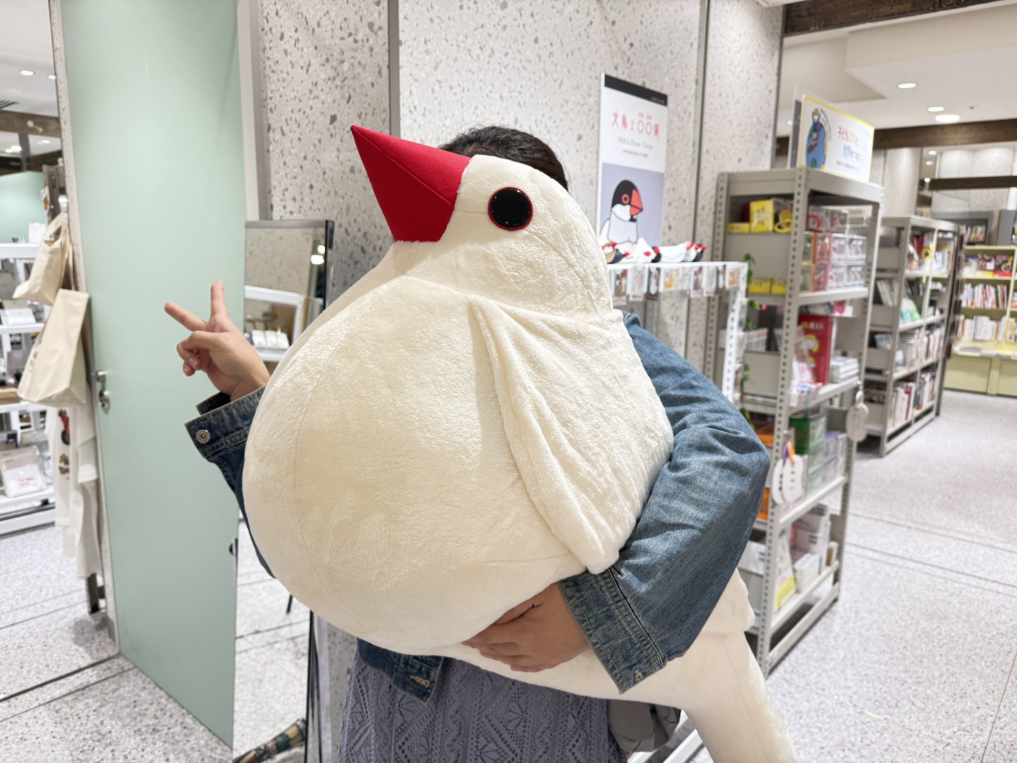 Amazon.co.jp: 吉徳 ことりのね 白文鳥 ぬいぐるみ 180095