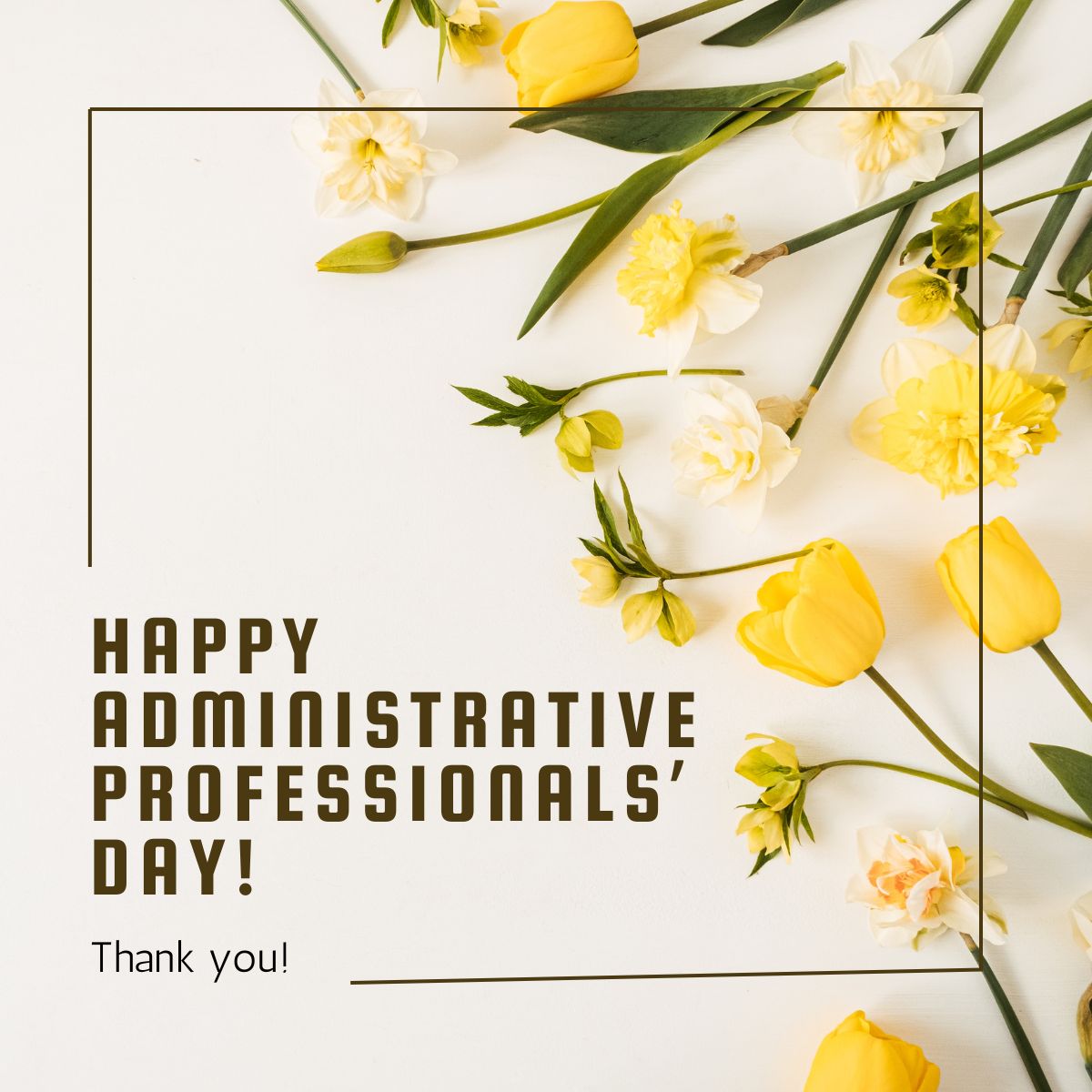 ChessTalent's tweet image. Wishing a fantastic Administrative Professionals&apos; Day to our outstanding administrative team!  A huge shoutout to Mary Anne Gnatowski, Rachel James, and Carol Hess—your hard work is instrumental in supporting our business every day. We appreciate you more than words can say!