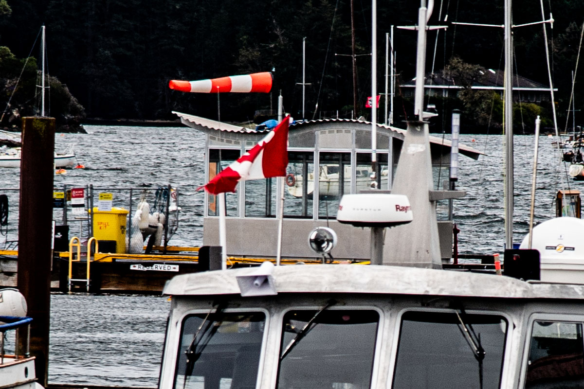 🇨🇦 True North Strong and Free 🇨🇦 #canada #elbowsup #madeincanada #buycanadian #flagaday