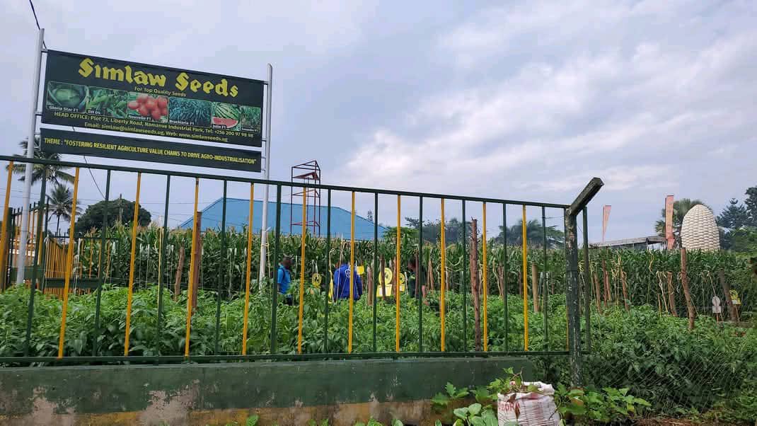 Want to learn how to grow more with less?

The Agricultural Show in Jinja is your gateway to climate-smart agriculture and sustainable food chains. Build a resilient farming future together

#AgricShow25 

<a href="/MAAIF_Uganda/">MAAIF 🇺🇬</a> 
<a href="/BOU_Official/">Bank of Uganda</a> 
<a href="/Dfcubankuganda/">DFCU BANK UGANDA</a> 
<a href="/narouganda/">NARO Uganda</a>