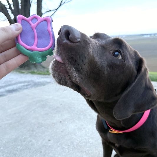 Treats Unleashed tweet media