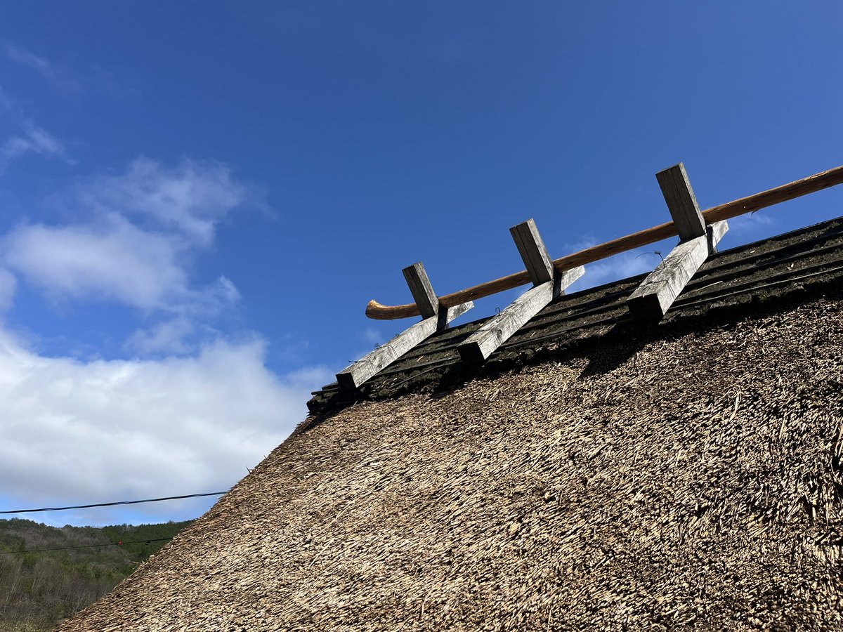 今日無事に葺きどまり、すずめどまりを棟にあげた。民家の裏山に生えていたヒノキ。あとは仕上げ。