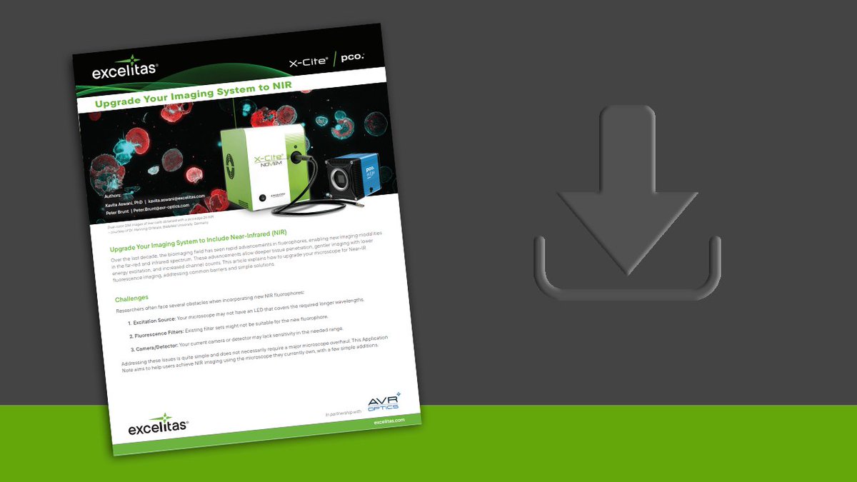 Excelitas's tweet image. Fluorophore advancements have unlocked new imaging modalities in the far-red & infrared spectrum that deliver many benefits for #bioimaging. Download our #ExcelitasApplicationNote to learn how to upgrade your microscope for Near-IR #fluorescenceimaging. ow.ly/3oql50VFyEU