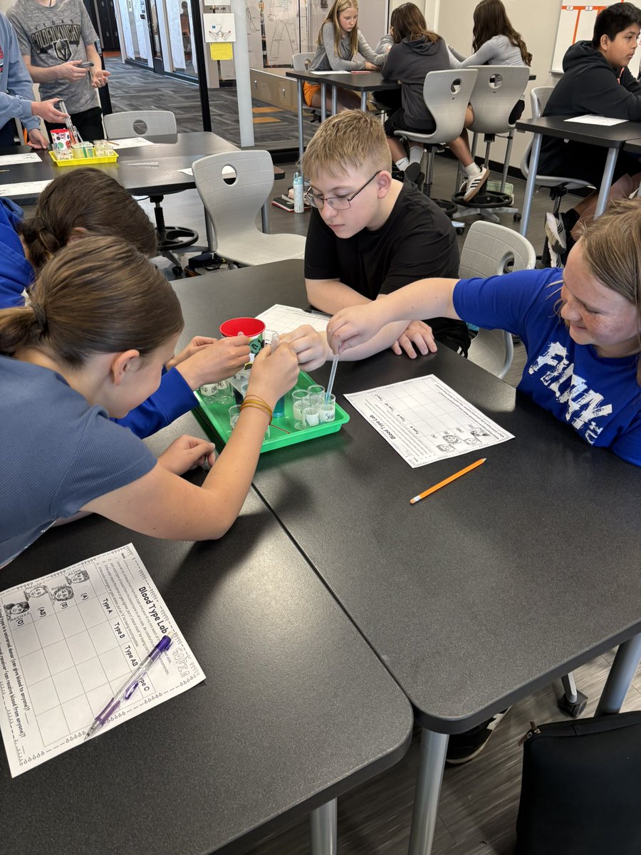 Circulatory system blood type lab! Learning about different blood types. 6th grade science!🧬