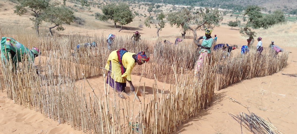 Joliba Trust tweet media