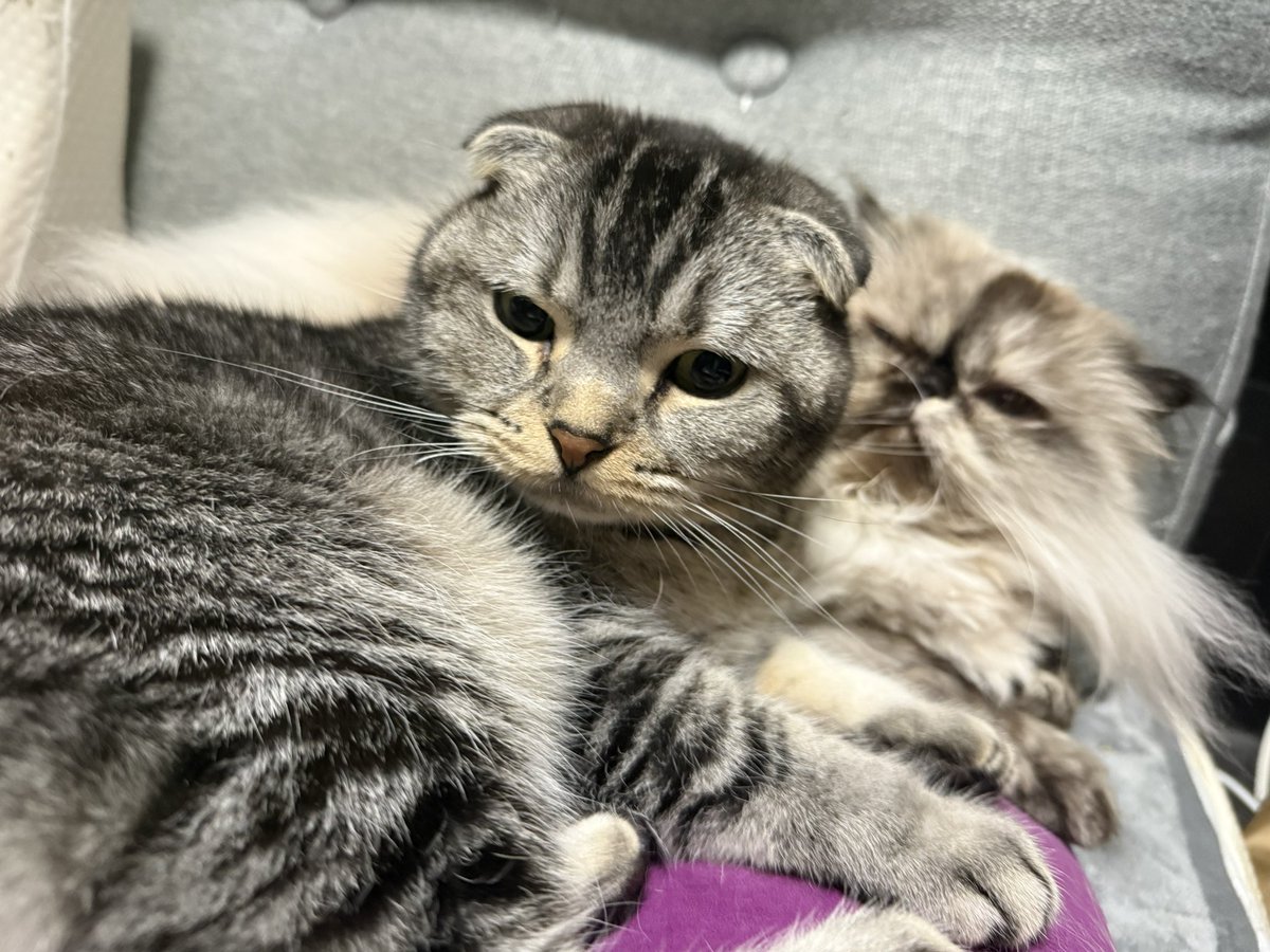 じゅん☆じゅん (@jun_jun2525) / Posts / X