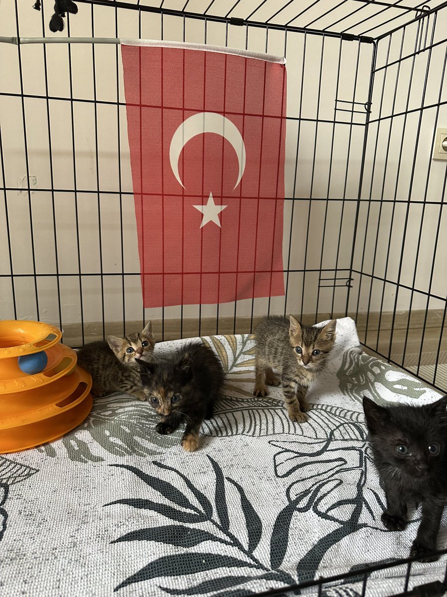 23 Nisan Ulusal Egemenlik ve Çocuk Bayramı Kutlu Olsun!