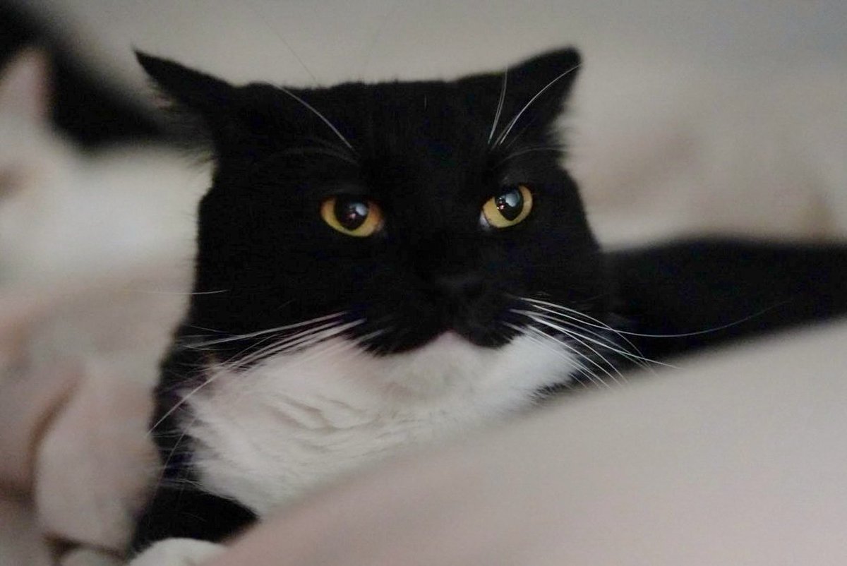 I have become too strong…