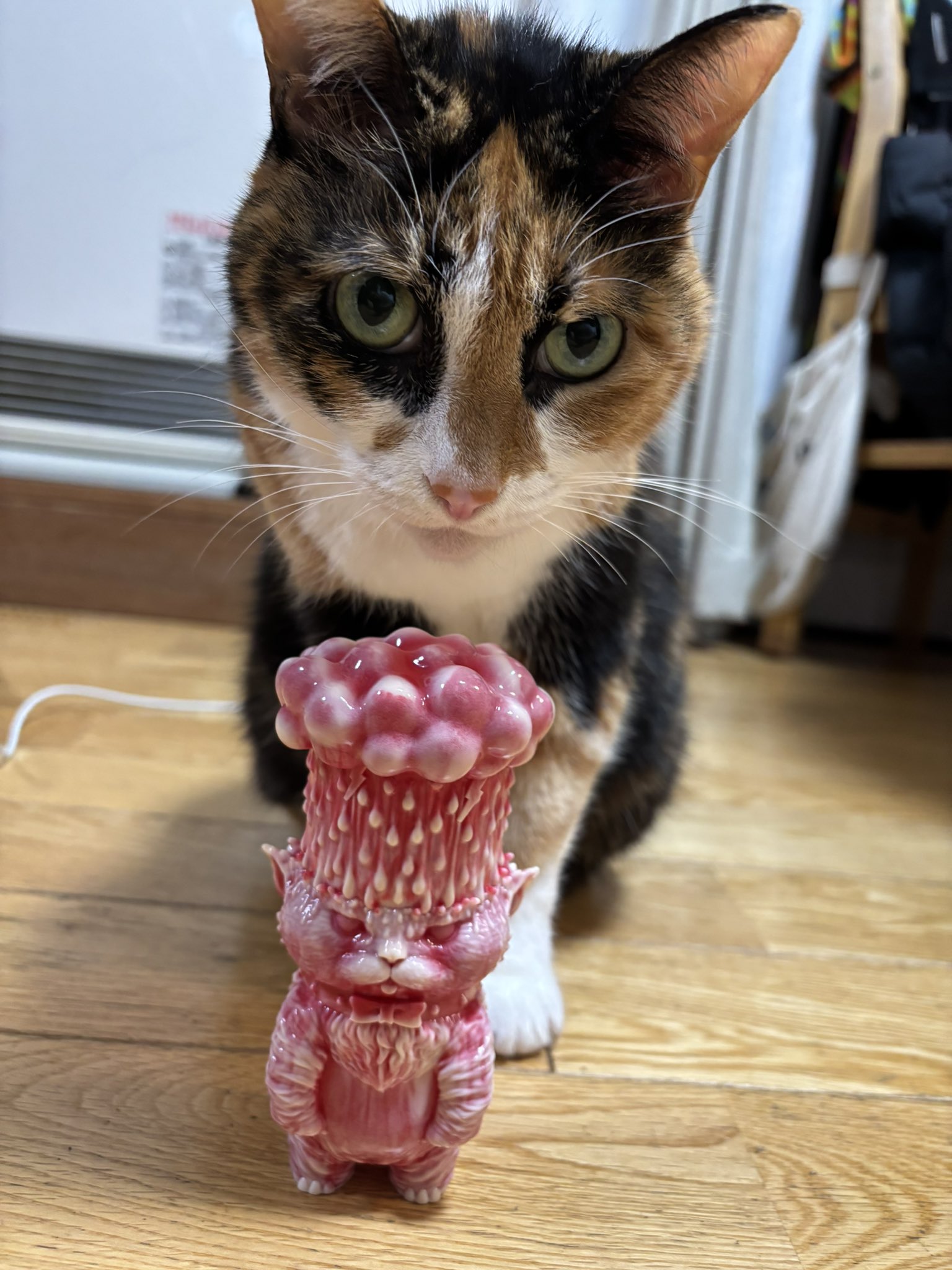 新品未開封 もうこやま MOUCOYAMA どしゃぶり猫 どしゃぶり白猫
