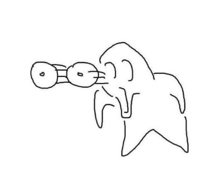 𝗰𝗼𝗹𝗹𝗮𝗽𝘁𝗮𝗿🪳 tweet media