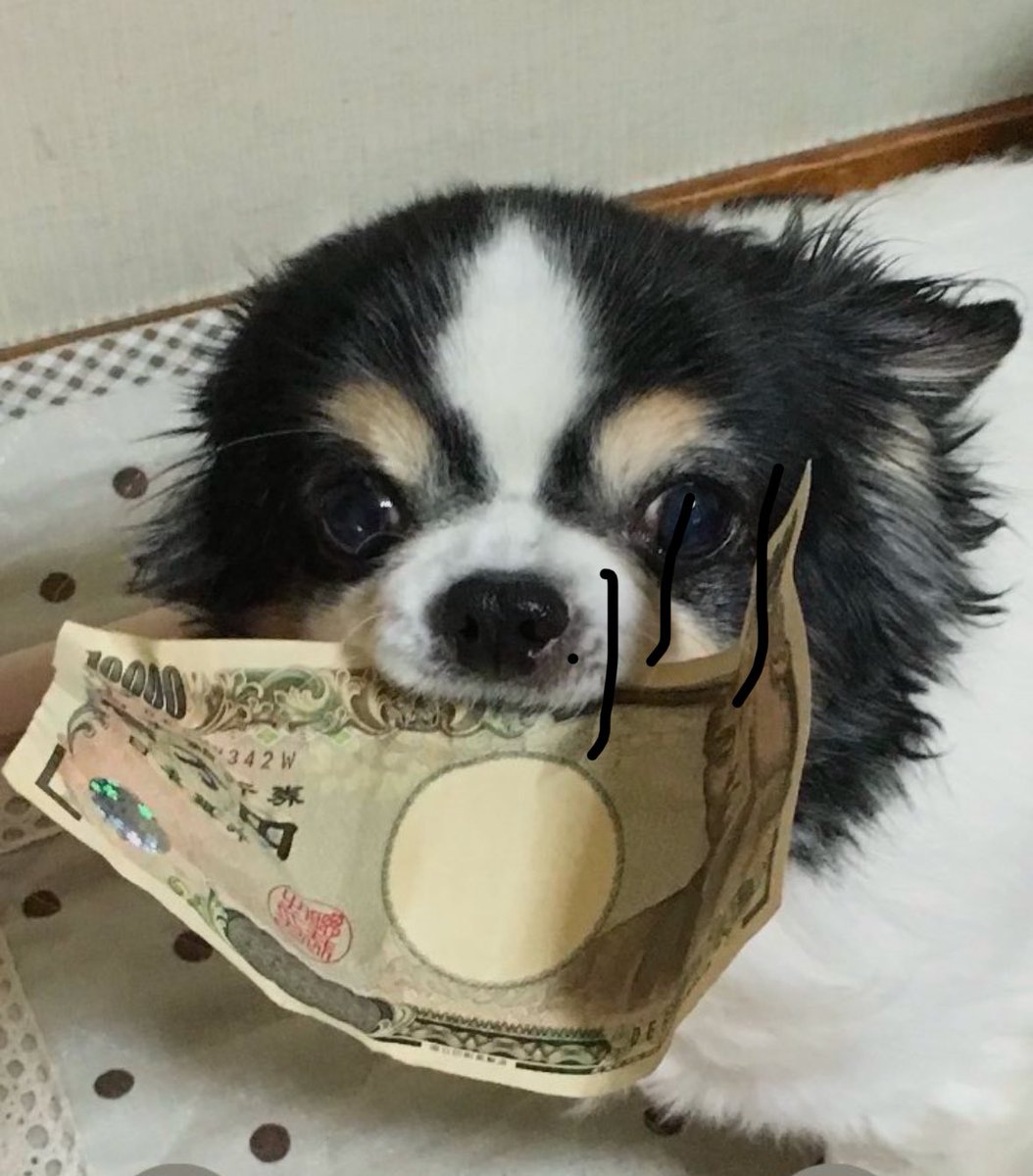 turisin's tweet photo. お疲れ様です
^_^

最近流行ってるらしい、AIで作画。

息子がアプリを入れてくれたので、早速❣️

楽しくて、いっぱいやってしまいました。

た…楽しい❣️
(//∇//)💦 https://t.co/pIOFtU0nxq