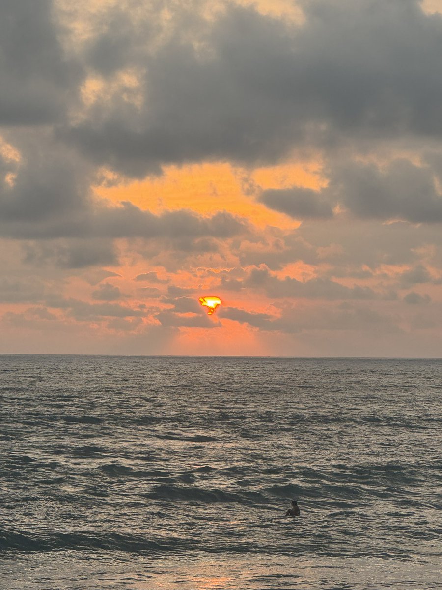 myraverse 🦇🔊 tweet media