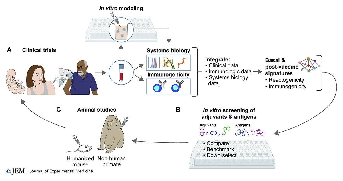 Journal of Experimental Medicine (@jexpmed) on Twitter photo Vaccinology: Getting our modernization act together. Ofer Levy <a href="/PrecVaccines/">Precision Vaccines Program</a> reflects on implications of the new FDA Modernization Act 2.0 on accelerating drug and #vaccine discovery and development. hubs.la/Q03jnqFt0
#PrecVaccinesNetwork Vaccinology: Getting our modernization act together. Ofer Levy <a href="/PrecVaccines/">Precision Vaccines Program</a> reflects on implications of the new FDA Modernization Act 2.0 on accelerating drug and #vaccine discovery and development. hubs.la/Q03jnqFt0
#PrecVaccinesNetwork