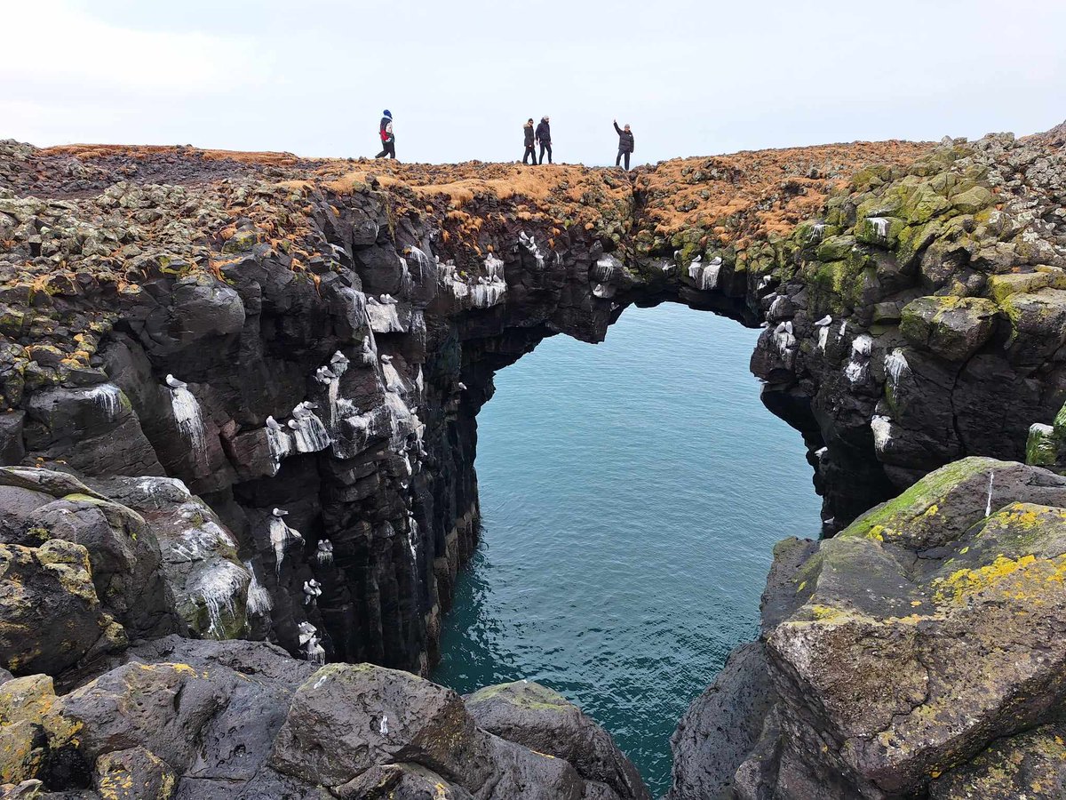 IcelandBus's tweet image. Where there are rainbows over waterfalls and mountains, where the sea carves stories into black sand - welcome to the Snæfellsnes Peninsula ⛰️🌈🌊

📸 by our wonderful guide Alain Corbeau

#Iceland #Kirkjufell #Arnarstapi #Snæfellsnes
