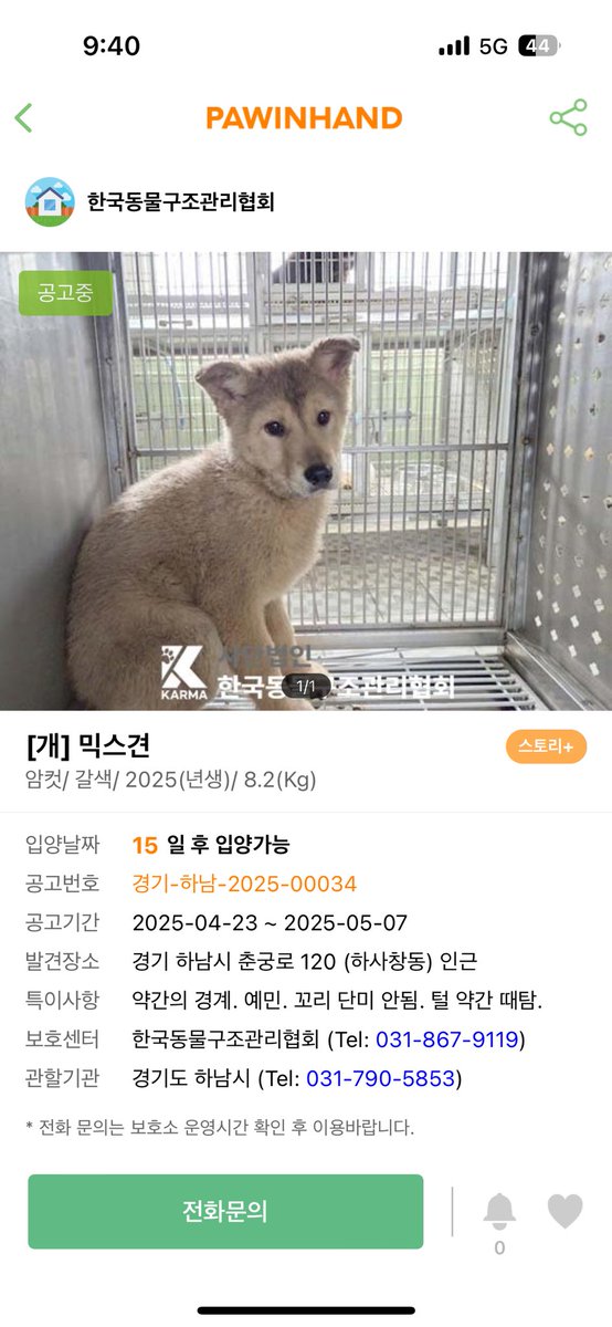하남시 보호소 입양홍보 tweet media