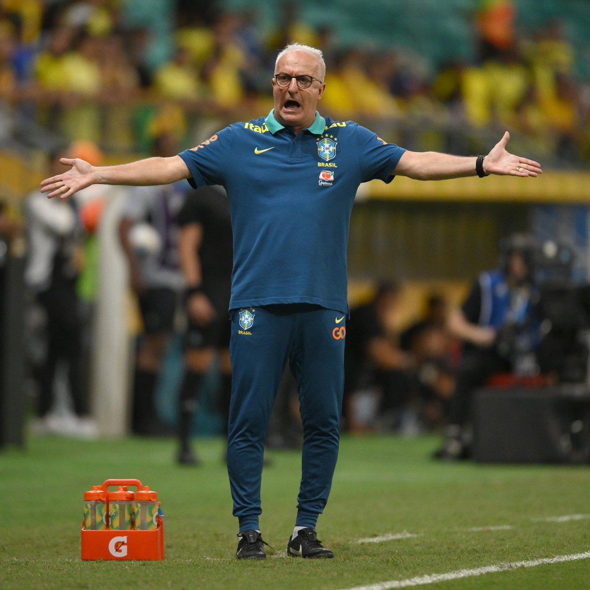 SCCP News tweet media