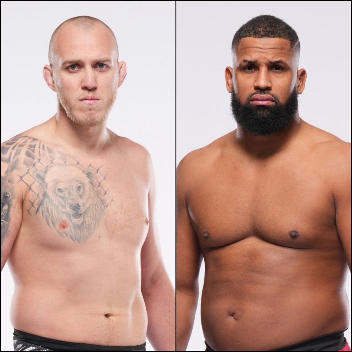 Marcel Dorff 🇳🇱🇮🇩 tweet media