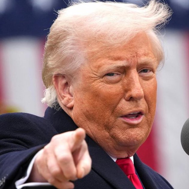 Whale Insider tweet media