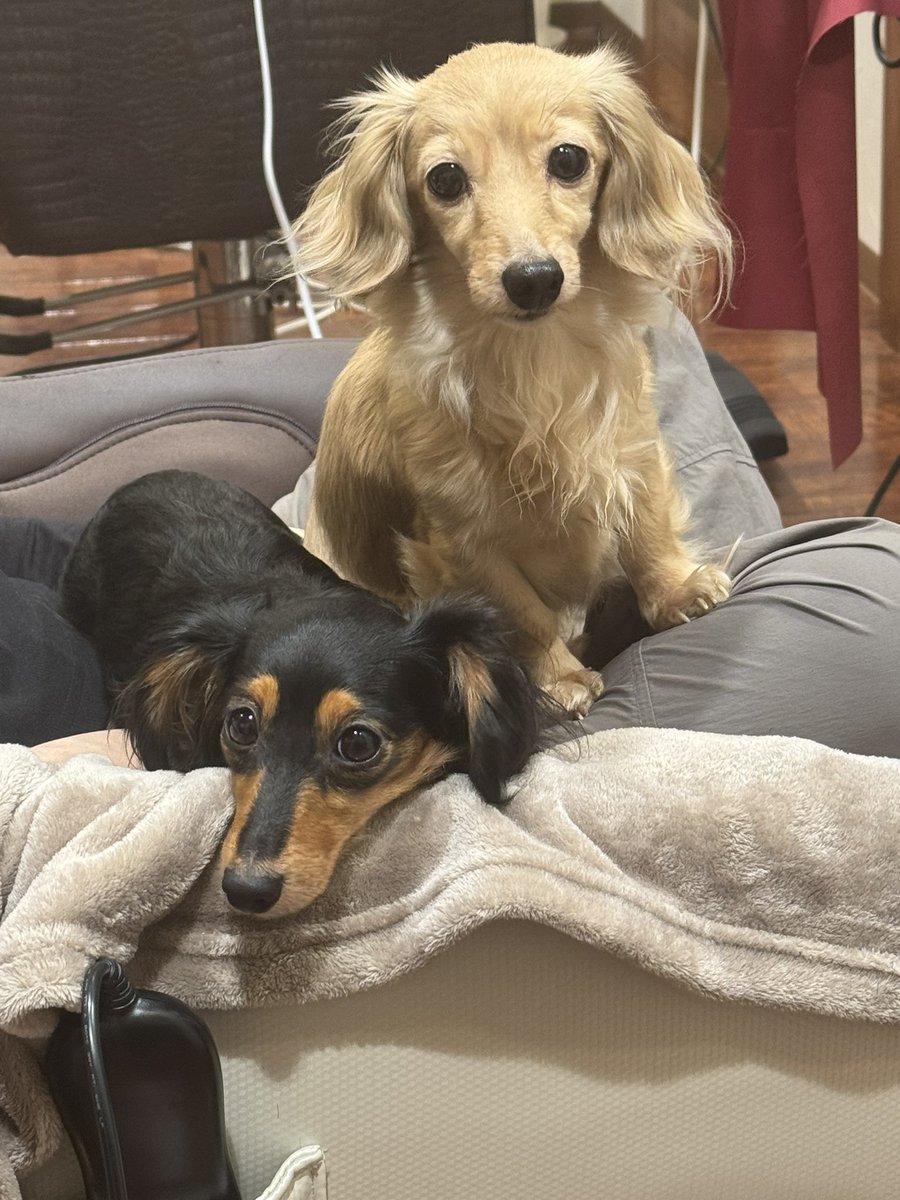 脱毛しているのを心配そうに見てるの可愛すぎる