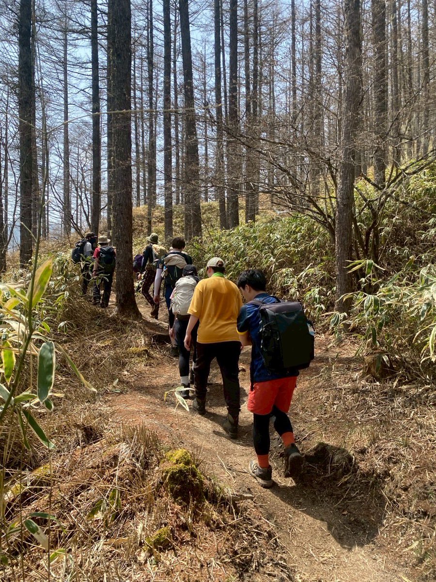 poolo_climbing's tweet photo. 【登ってきたよ】

週末に、登山部メンバー計9名で、山梨県の #日向山 へ🥾

全員登頂成功！

天候に恵まれ、たっぷりと森林浴できました🌳
山頂間近には、白砂のビーチのような光景が広がっていました。

「天空のビーチ」は、まさに異空間の光景で、目にした時には驚きました🙌

#poolo #poolo登山部 https://t.co/W6YQUcNvUw