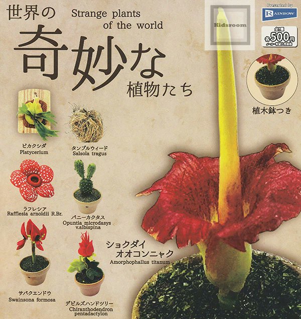 ガシャポン ガチャガチャ 【発売中】 世界の奇妙な植物たち ＜1