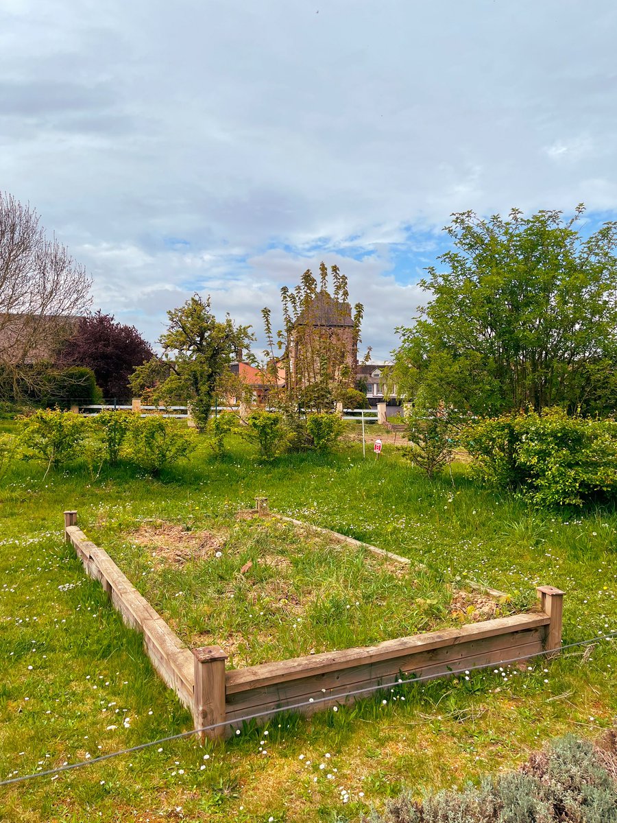 👨🏻‍🌾🍅🥕 Au pied de la tour du château et des anciens lavoirs du village d’Illiers-Combray, on trouve ce #JardinPartagé, ouvert à tous les habitants. Un endroit paisible où fréquenter topinambours, origan, rhubarbes, thym, framboisiers… 

#EureEtLoir #Tourisme #VisitFrance #Agri