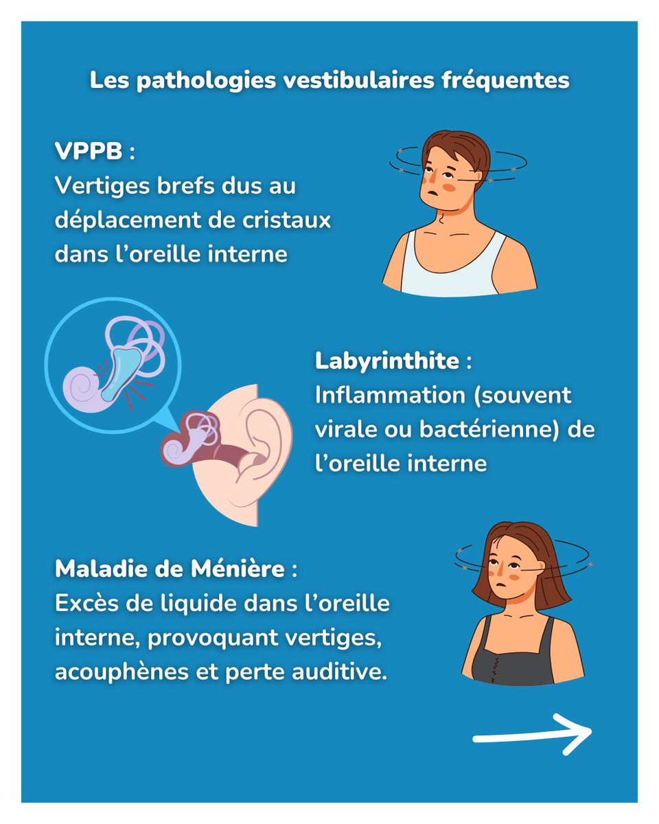 BaptisteGustave's tweet photo. Avez-vous déjà utilisé la rééducation vestibulaire ?

💡 La rééducation vestibulaire est une spécialité précieuse pour les patients souffrant de vertiges, de troubles de l’équilibre ou de pathologies (VPPB, labyrinthite...). 😵‍💫

Retrouvez le post complet sur IG
#teamkine https://t.co/3hCSc77prO