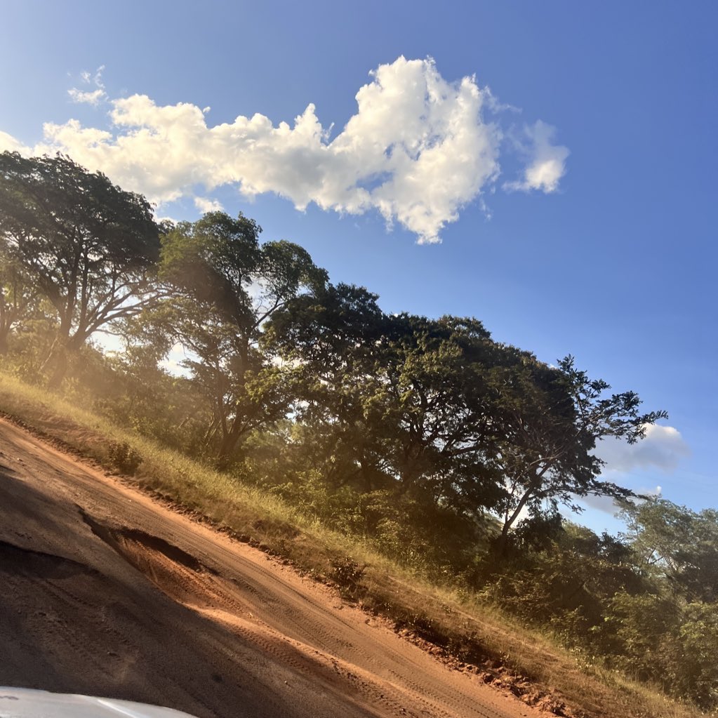 tinasheskies's tweet photo. @ZANUPF_Official @marapira_farai Bulawayo Victoria Falls highway https://t.co/MedRrzlYO6
