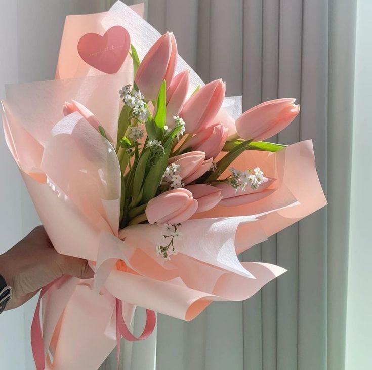 tulipslibrary's tweet photo. Tulips https://t.co/UPpIwoSICo