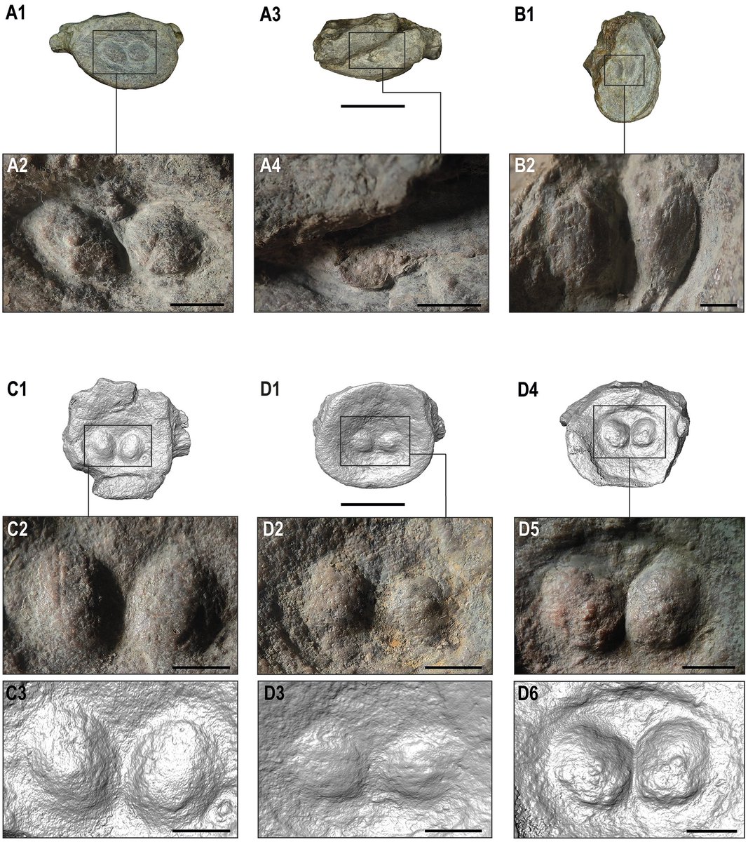 Alberto Cabezuelo Hernández tweet media