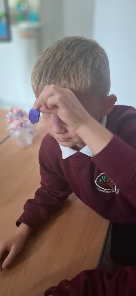 CFPSchool's tweet image. Year 3 scientists had a bright time today exploring which surfaces reflect light best! ✨ Lots of shiny discoveries made. #ScienceEducation #PrimaryScience #LightAndReflection
#WeAreLEO