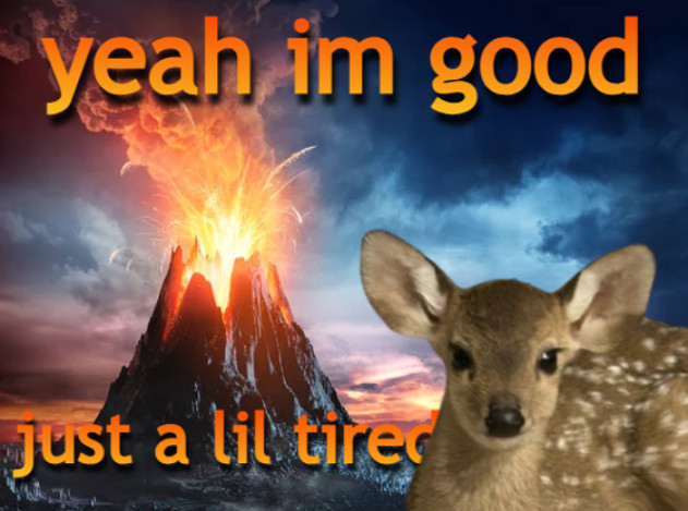 deertexting's tweet photo. https://t.co/jC8ZHSJkYR